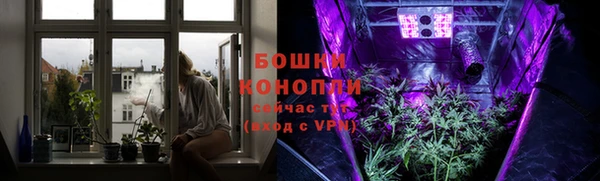 PSILOCYBIN Алзамай