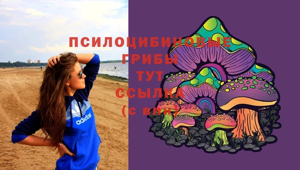 соль курить ск Армянск