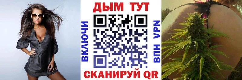 Конопля сатива  где купить наркоту  Спасск-Дальний 